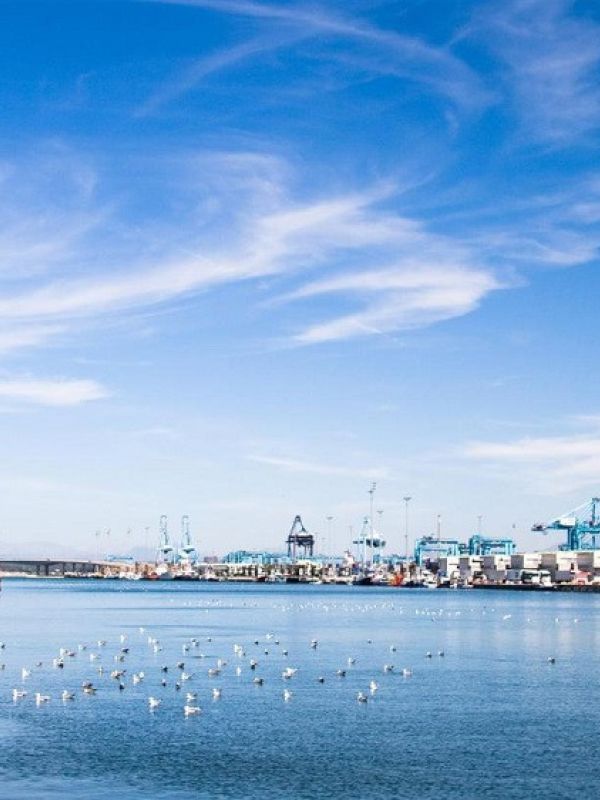 Veinte ciudades reciben la distinción Ciudad de la Ciencia y la Innovación’