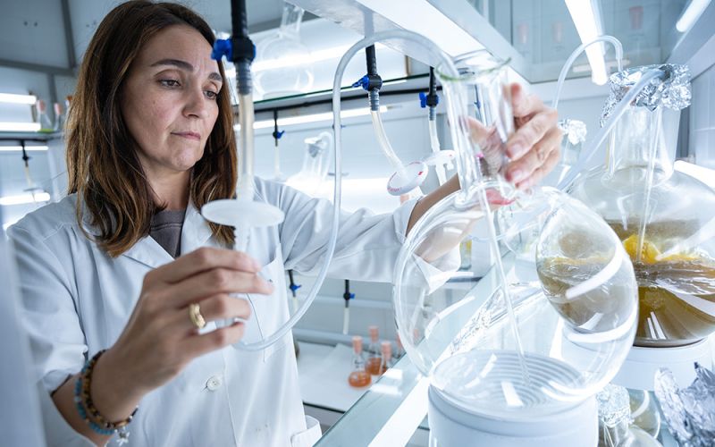 La Bienal Ciudad y Ciencia 2023 arranca con la participación del CSIC y el foco puesto en el concepto de vida
