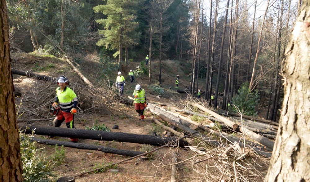La Junta destina por primera vez más fondos a la prevención que a la extinción de incendios