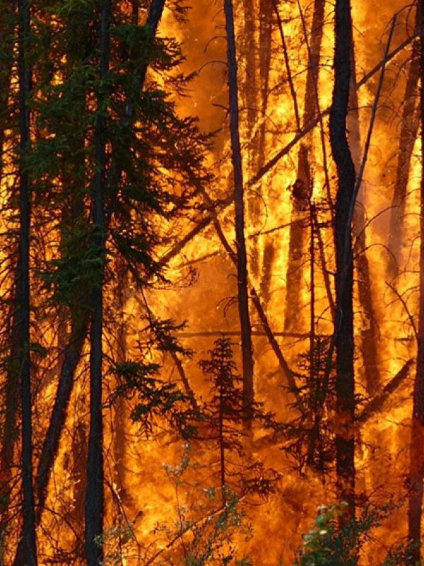 El cambio climático aumenta el riesgo de incendios forestales