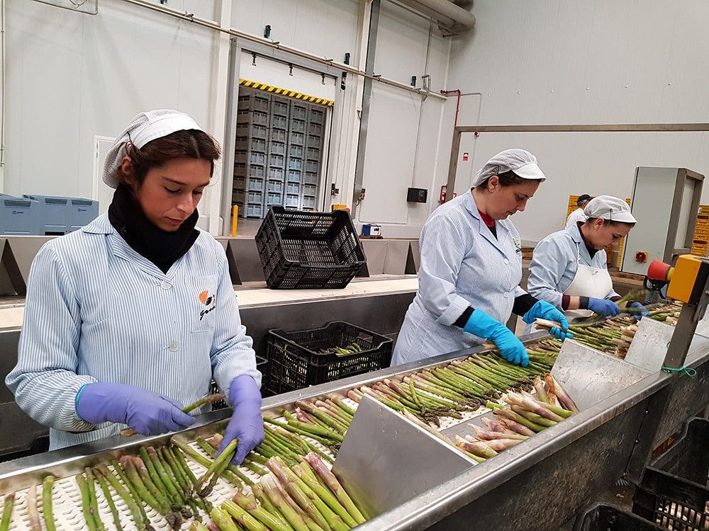 El empleo aumenta en 458.000 afiliados en lo que va de año y la afiliación diaria supera por primera vez los 20,9 millones de ocupados