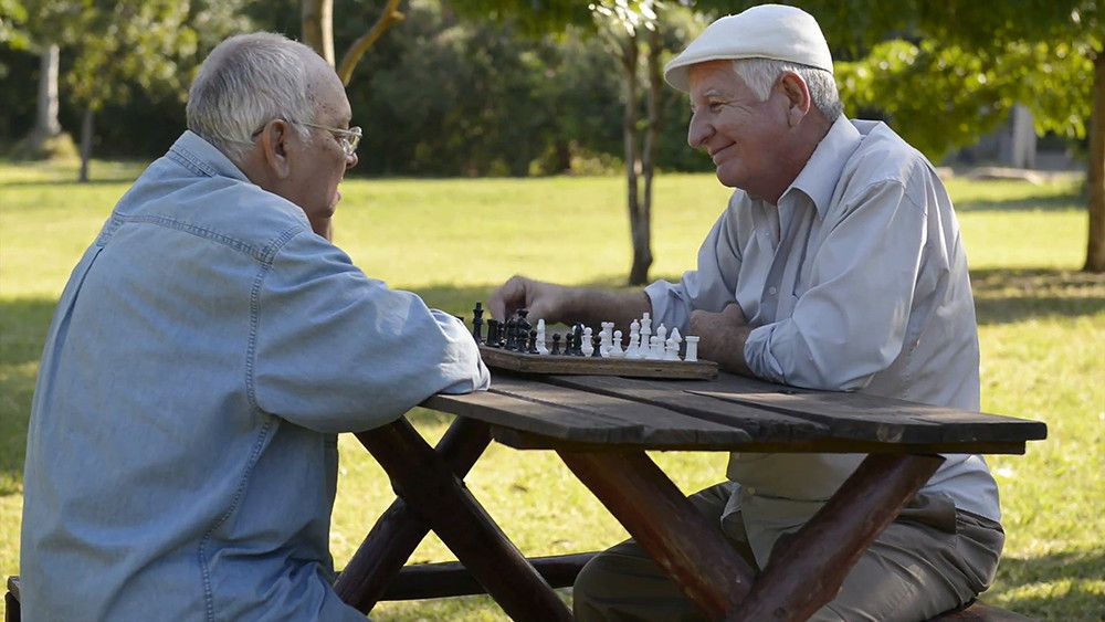 El gasto en pensiones contributivas supone el 11,8% del PIB