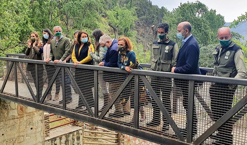 Realizados durante 2020 trabajos de mejora en 1.265 kilómetros de caminos para facilitar las labores de prevención y extinción de incendios en Andalucía