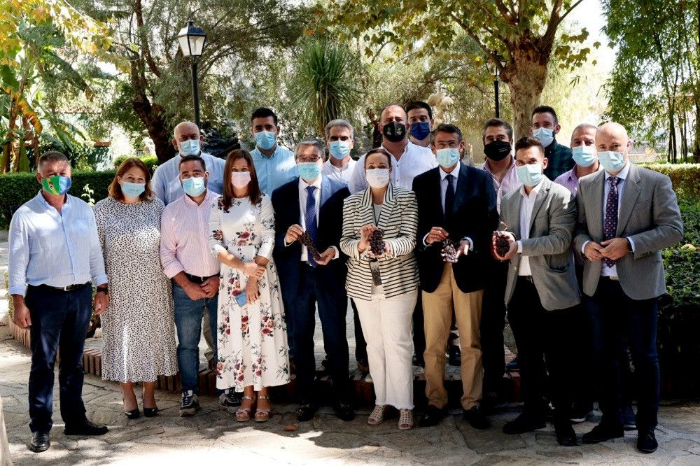 Nace la Asociación Sipam de la Uva Pasa de Málaga en la Axarquía, que coordinará un plan de acción para impulsar el desarrollo de la comarca