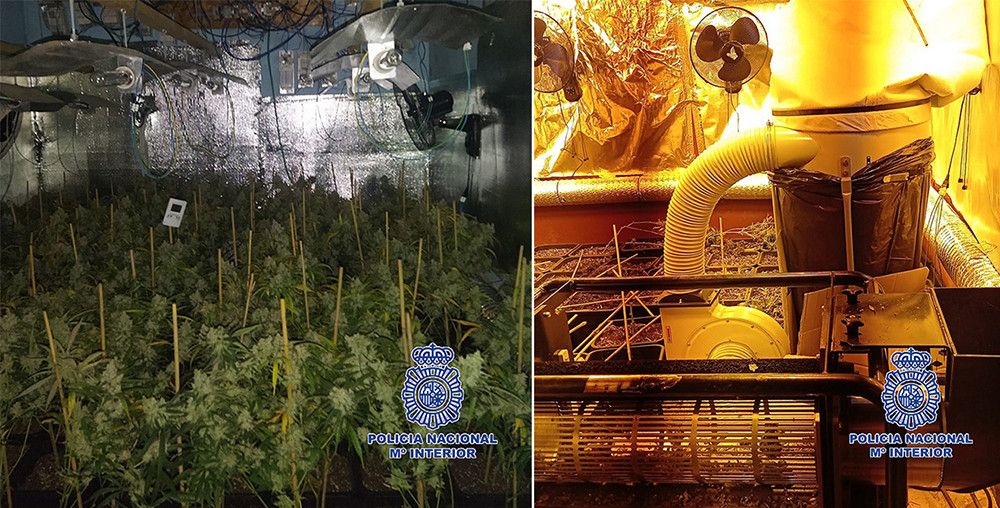 La Policía Nacional detiene a una pareja en Málaga que había habilitado en la planta superior de su casa una plantación de marihuana