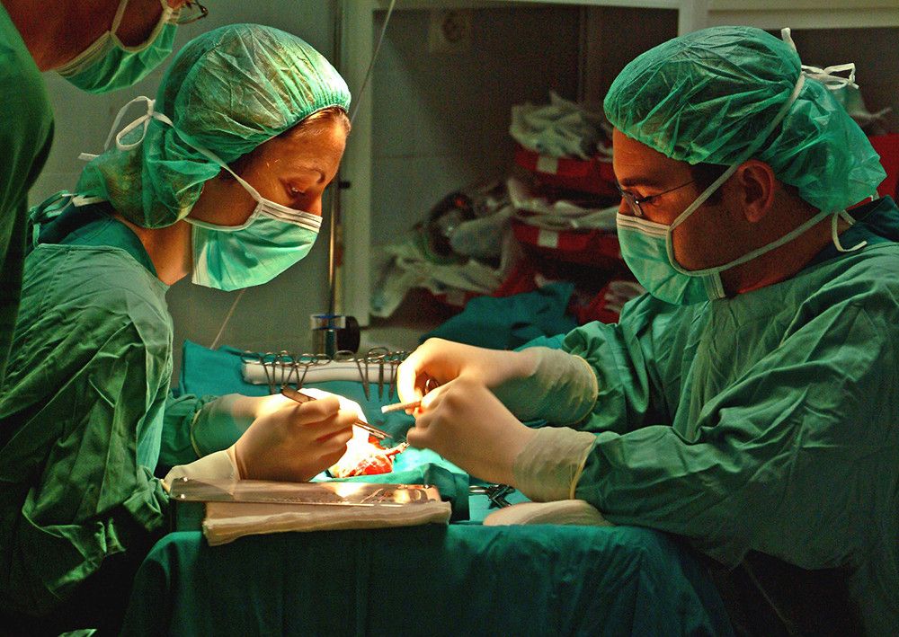 Los trasplantes de órganos suben un 21% en Andalucía en los seis primeros meses del año