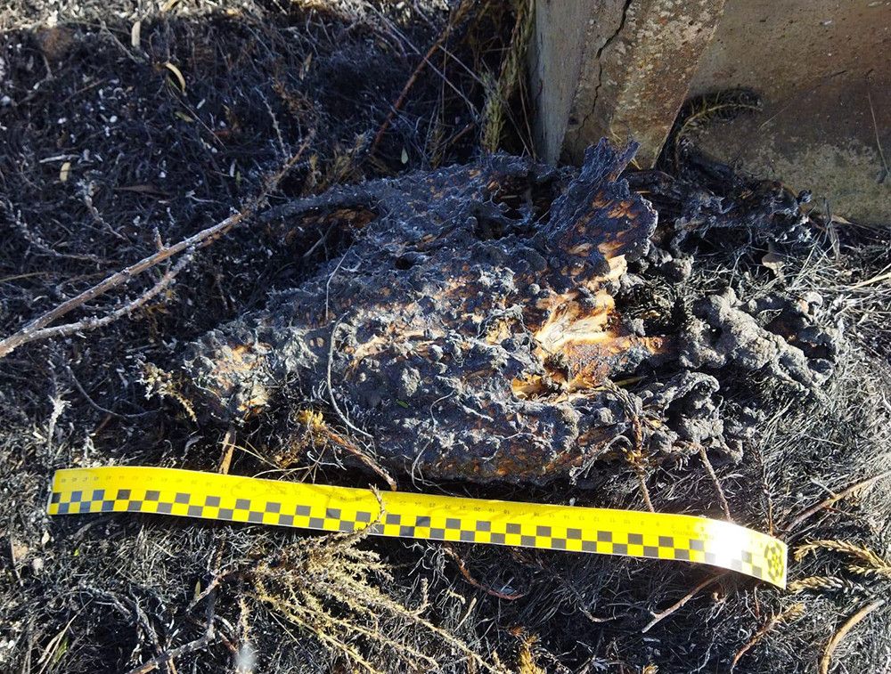 La electrocución de un ave originó el incendio que obligó a evacuar a cien personas en la provincia de Huesca
