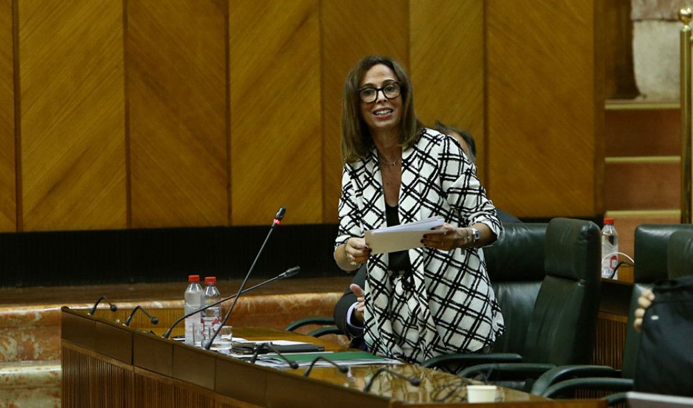 La Consejería de Fomento reparará 35 kilómetros de la autovía A-92 en Granada para finales de año