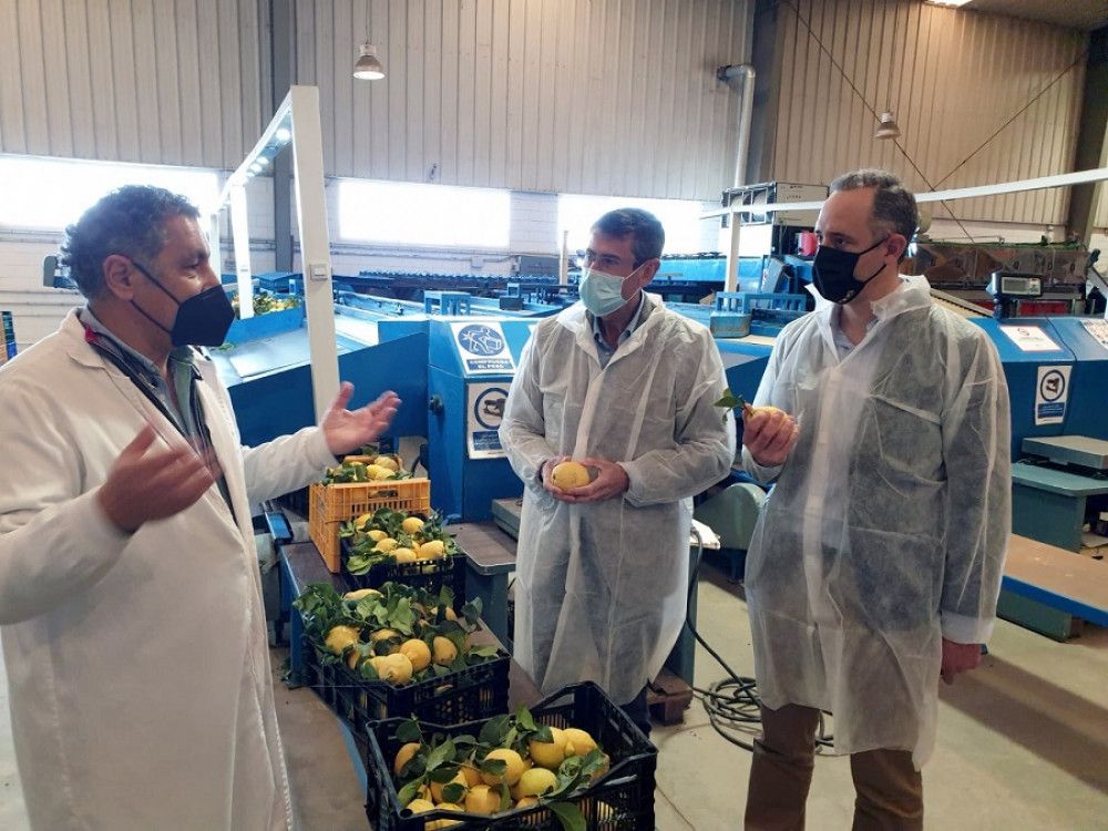 La Delegación Territorial de Agricultura anima al asociacionismo en el sector de los cítricos de la provincia