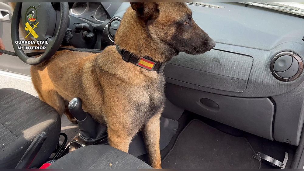 La Guardia Civil intercepta en Navarra un vehículo con 40 kilos de "speed" en días previos a los Sanfermines