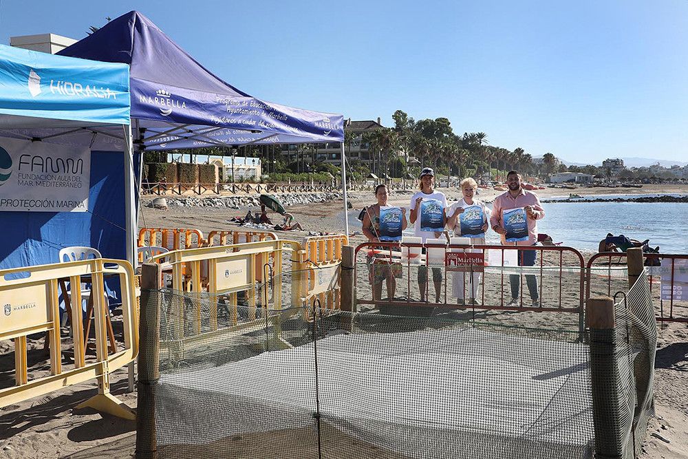 Juventud pone en marcha una campaña para aumentar el número de voluntarios que custodien el nido de la tortuga boba de Puerto Banús