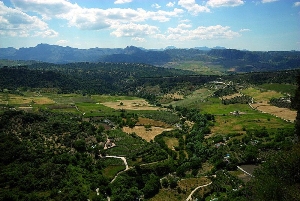 La Diputación refuerza los equipos de tratamiento familiar en la Serranía de Ronda