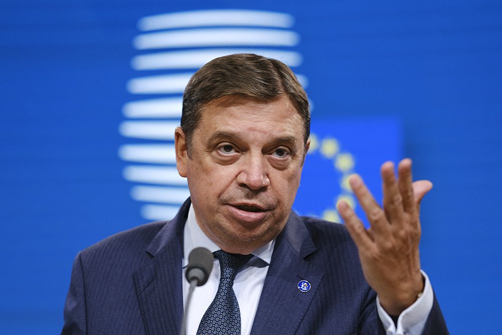 España defiende en el Europarlamento la necesidad de mejorar el procedimiento de asignación de cuotas pesqueras