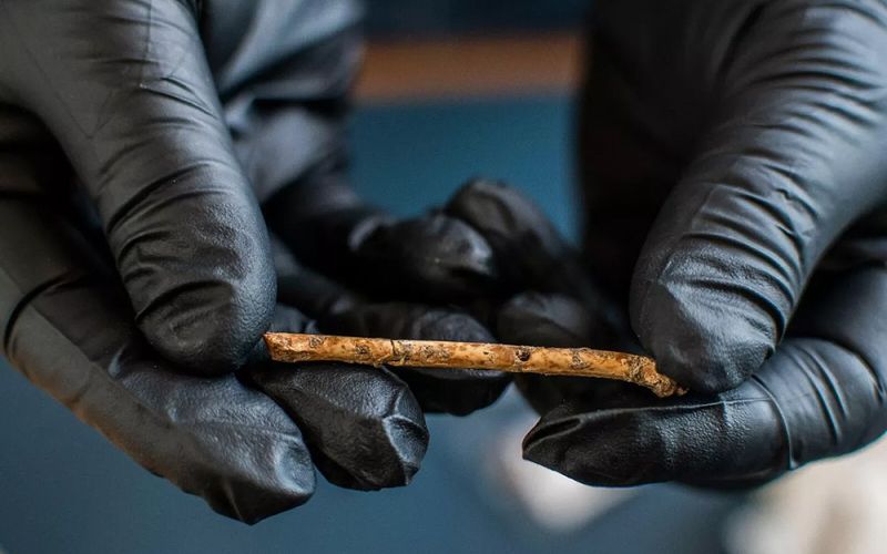Encontrados en Israel reclamos hechos con huesos de aves prehistóricas de hace 12.000 años