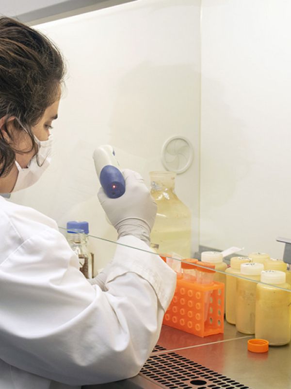 El CSIC optimiza una prueba rápida de PCR para detectar selectivamente coronavirus potencialmente infecciosos