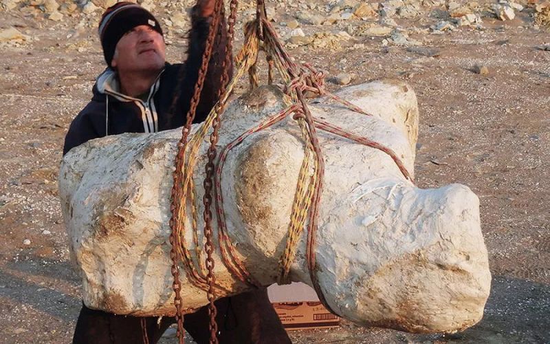 Descubiertos en Perú los restos de "un monstruo marino titánico"