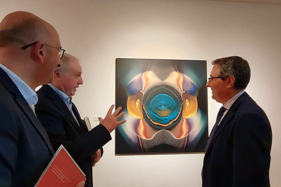 La Diputación inaugura en el MVA una exposición de Pepe Bornoy como homenaje póstumo al artista