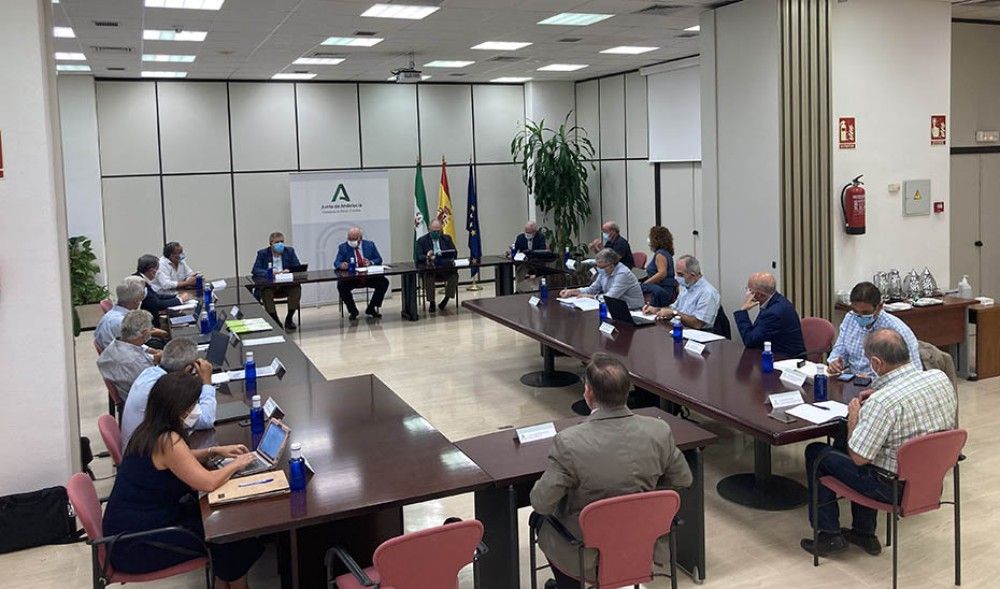 Constituido el Comité Asesor Externo para el balance de gestión y propuestas de mejora ante el covid-19