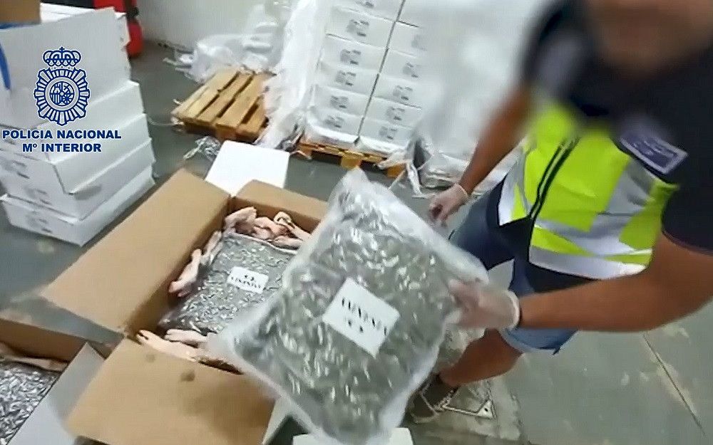 La Policía Nacional interviene 469 kilogramos de marihuana y hachís ocultos entre cajas de productos cárnicos en una nave en Málaga