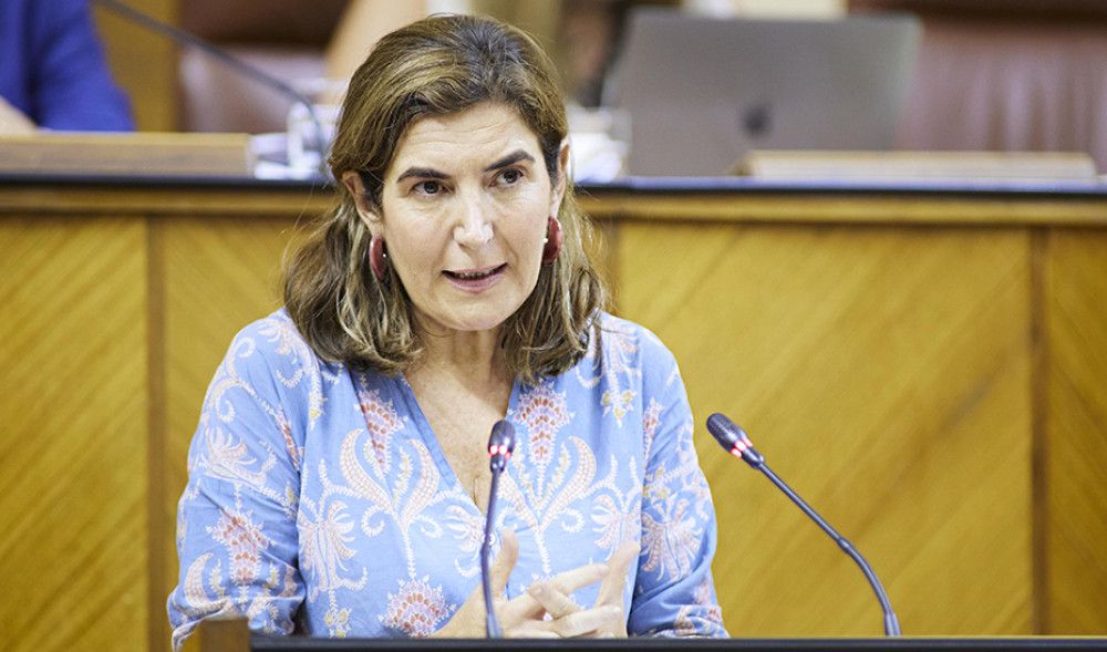 El Parlamento convalida el decreto de ayudas a pymes y autónomos por sobrecoste energético