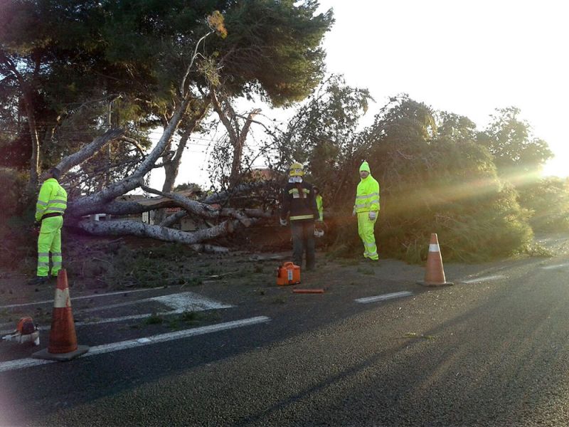 Emergencias 112 gestionó ayer más de un centenar de incidencias por el viento en toda Andalucía
