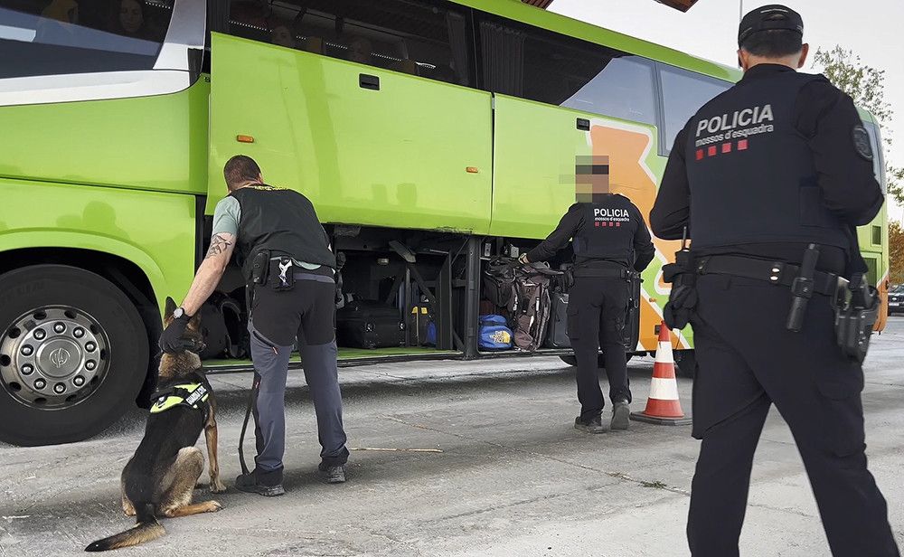 España lidera una operación europea contra el tráfico de armas, drogas y seres humanos que se salda con 566 detenidos
