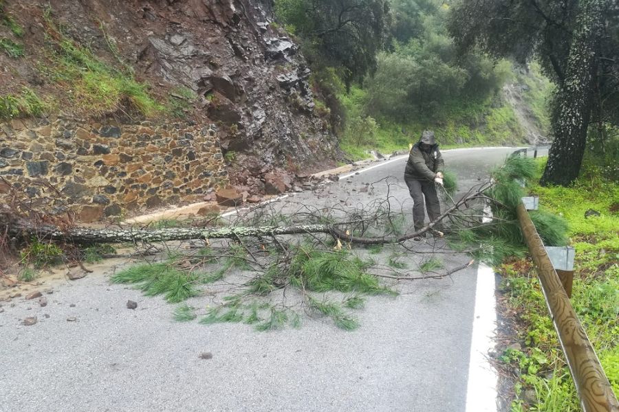 Cortada la carretera de El Burgo a Casarabonela por el desbordamiento del Arroyo de las Doncellas