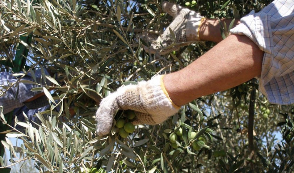 La economía andaluza cae en 2020 un 10,3% por la pandemia