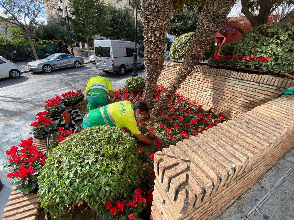 El Ayuntamiento finaliza el Plan de Embellecimiento de Navidad con cerca de 60.000 plantaciones