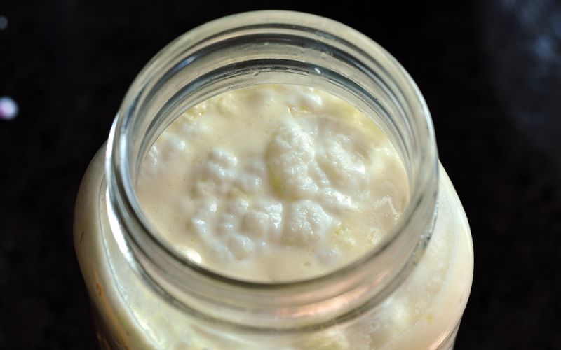 Un proyecto europeo busca desarrollar alimentos fermentados más saludables