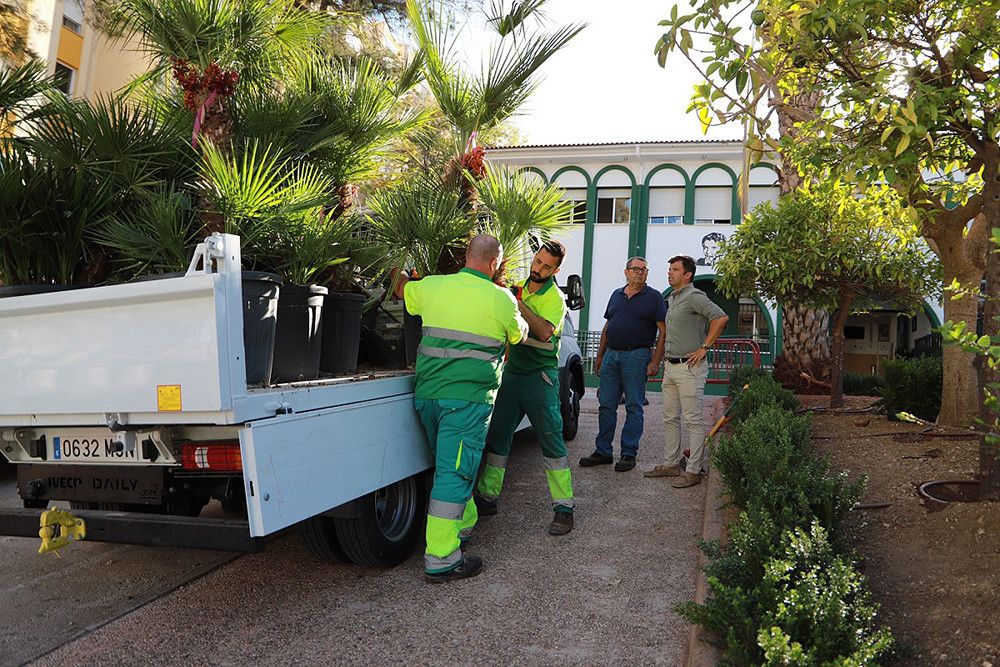 El Ayuntamiento culmina la remodelación del muro perimetral y de la entrada del CEIP Federico García Lorca con el ajardinamiento de la zona y un nuevo sistema de riego