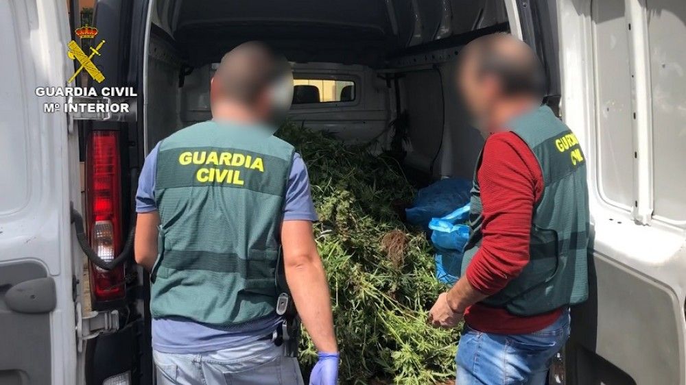 La Guardia Civil desmantela varias plantaciones de marihuana y detiene a sus responsables