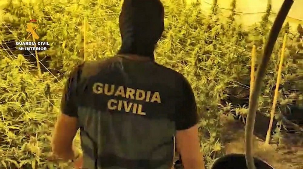 La Guardia Civil desmantela una organización criminal dedicada a la distribución de marihuana por toda Europa