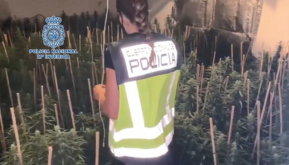 La Policía Nacional desarticula la mayor red de distribución de cocaína que operaba en la Sierra de Cádiz