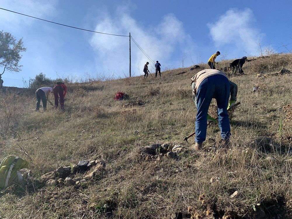 La Diputación continúa sus acciones contra el cambio climático con arboladas’ en tres municipios