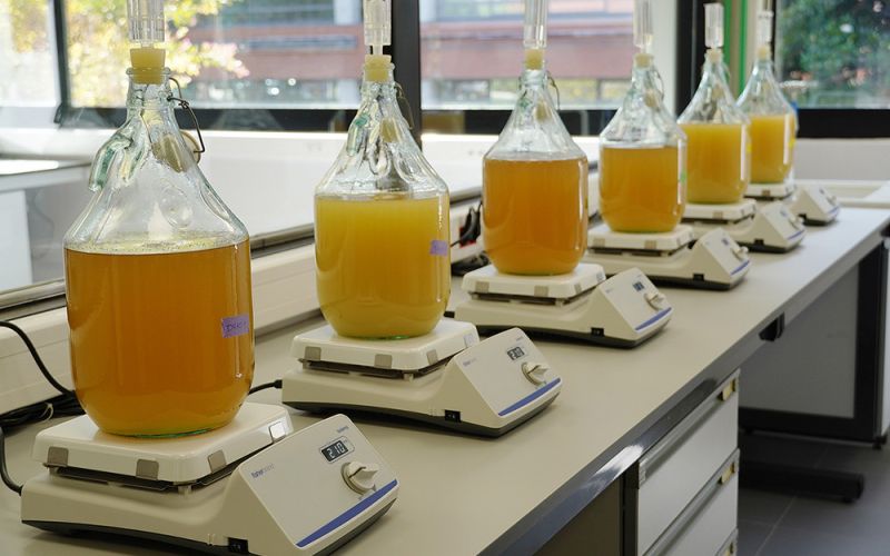 El CSIC presenta una bodega experimental que avanza la aplicación de “gemelos digitales” en el sector del vino