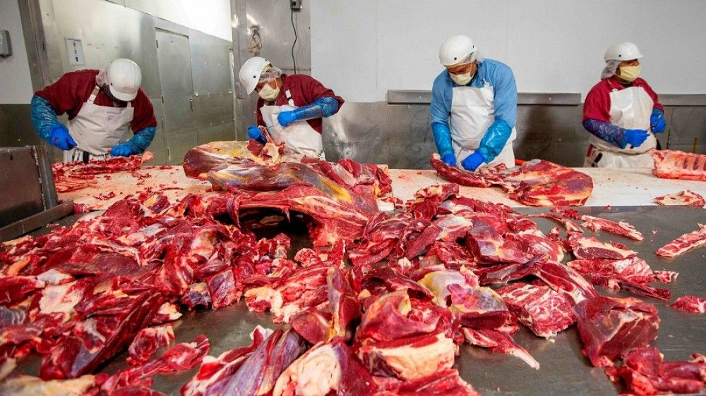 Consumo estudia obligar a la instalación de cámaras de vigilancia en mataderos