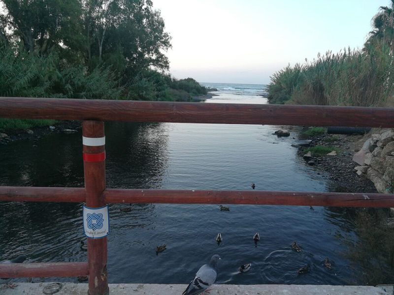 Marbella Activa presenta un estudio medioambiental sobre el estado de conservación de los ríos ZEC de Marbella
