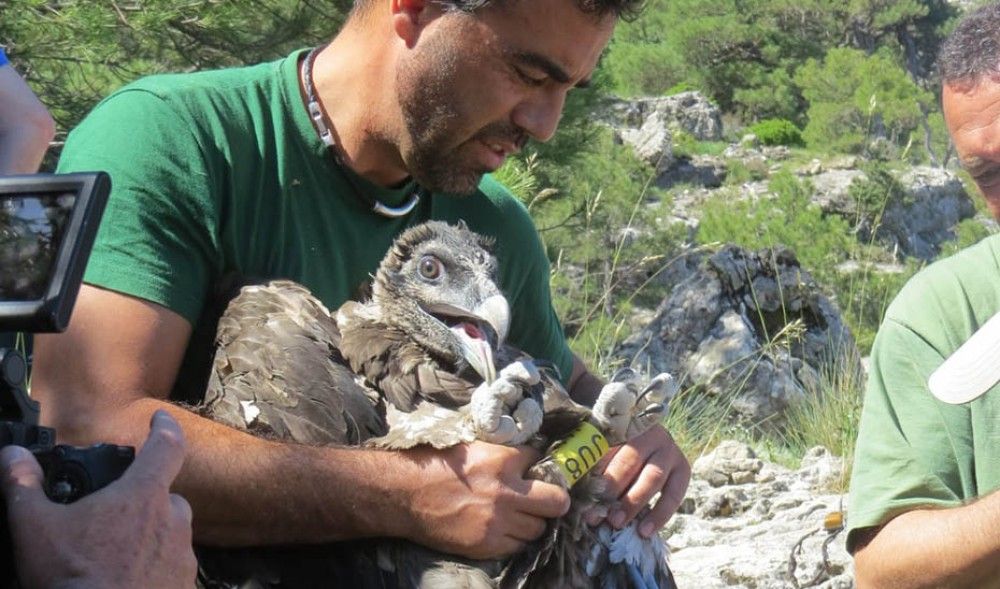 El presidente andaluz visita el Centro de Cría del Quebrantahuesos de Cazorla