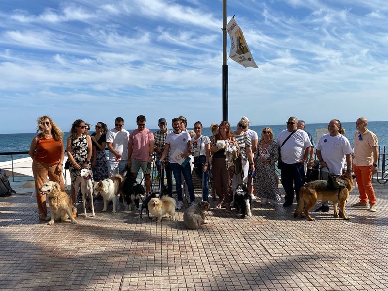 Ciudadanos asegura que convertirá a Marbella en una ciudad respetuosa con los animales, al impulsar cambios normativos para su protección