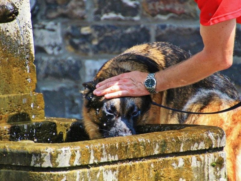 La Aemet activa hoy el aviso naranja por calor en Córdoba, Jaén y Málaga