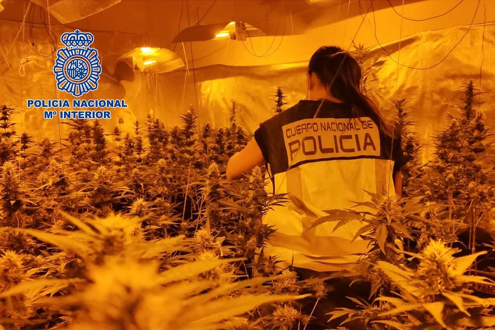 Cinco policías y un guardia civil entre los 28 detenidos en Badajoz en una operación antidroga