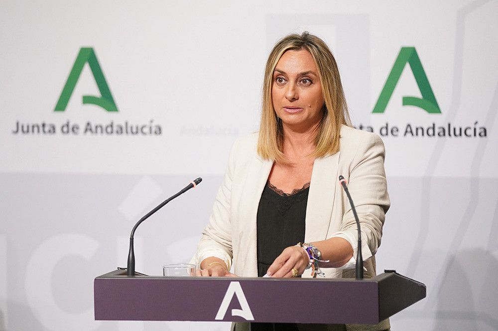 El Consejo de Gobierno aprueba el Decreto ley para la regulación de los VTC en Andalucía