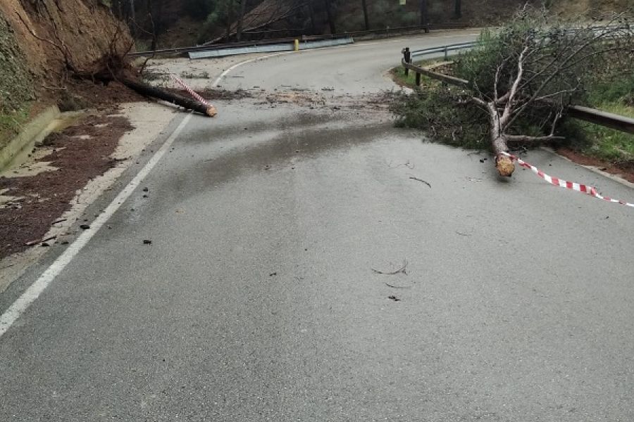 Cortada la carretera de El Burgo a Casarabonela por el desbordamiento del Arroyo de las Doncellas