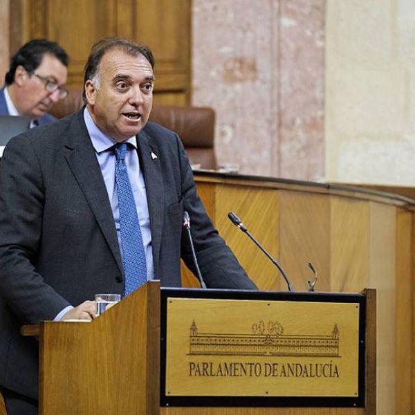El Consejo Andaluz de la Cultura celebrará su primera reunión en 2024