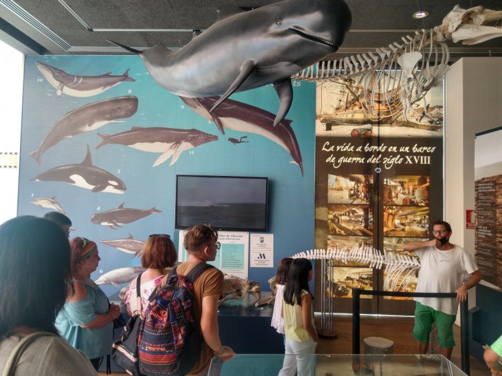 Un millar de malagueños disfrutó de experiencias vinculadas a la Senda Azul gracias a las actividades organizadas por Turismo Costa del Sol con motivo del Día del Mar