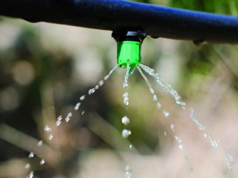La Junta convoca ayudas por valor de 11 millones para reducir la dependencia energética en el regadío