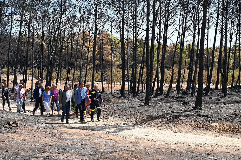 El Gobierno declarará hoy zonas especialmente afectadas por emergencia todos los territorios damnificados por los grandes incendios de este verano