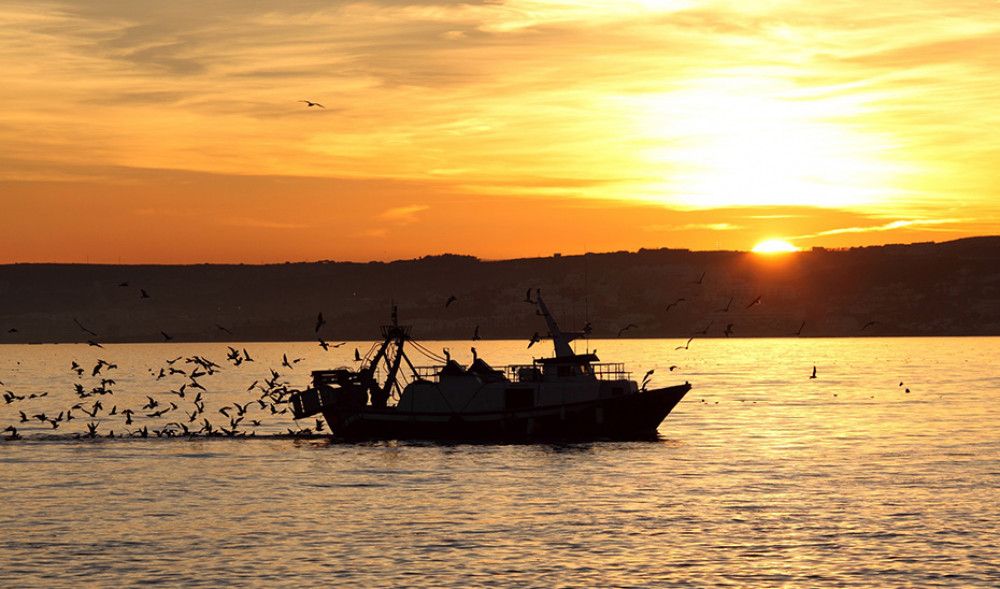 Andalucía pide la creación de un grupo de trabajo que garantice el futuro de la pesca del Mediterráneo