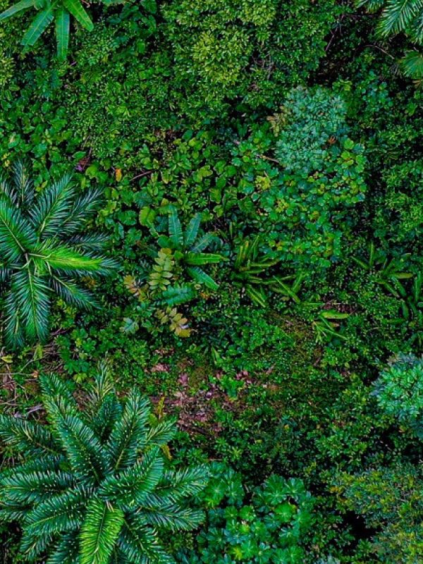 El último libro de divulgación del CSIC alerta sobre el peligro de la crisis ambiental